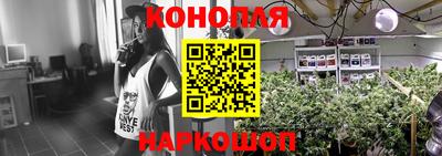 хмурый Кимры