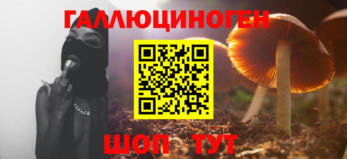 Псилоцибиновые грибы мухоморы  Вход с VPN  Коряжма 