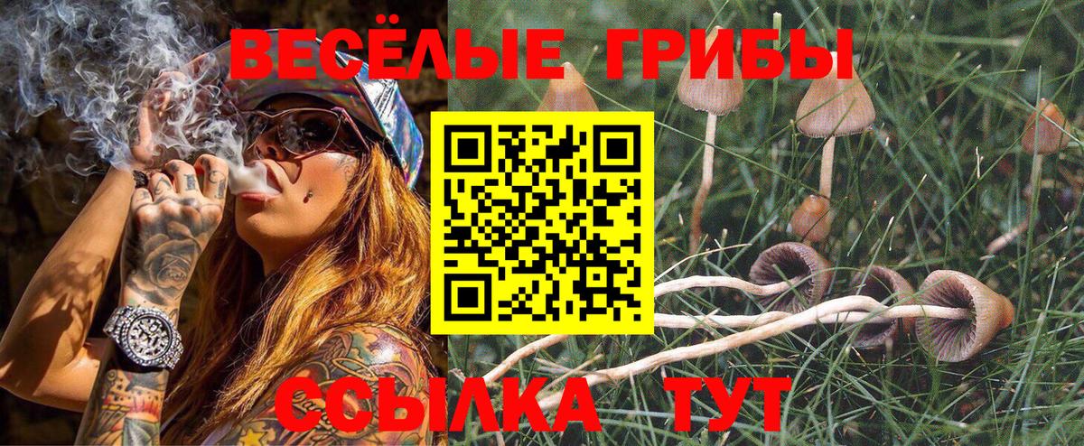 Псилоцибиновые грибы Cubensis Коряжма